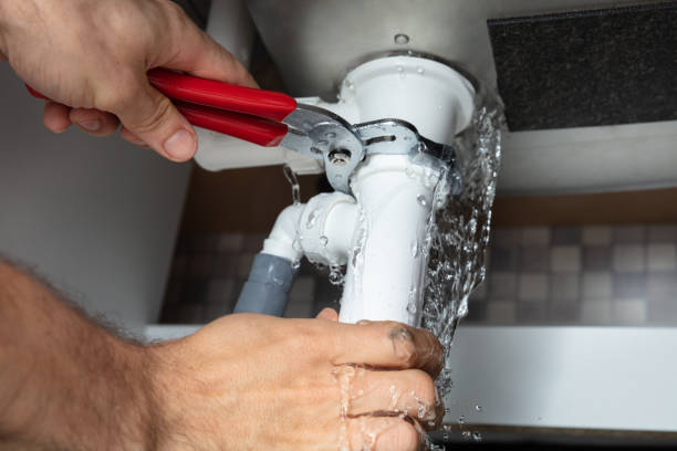 Best Flood damage cleanup  in Imlay City, MI