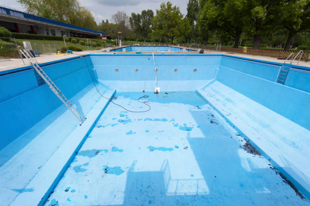 Best Carpet water damage restoration  in Imlay City, MI
