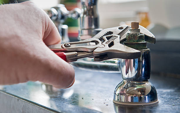 Best Fire Damage Restoration  in Imlay City, MI