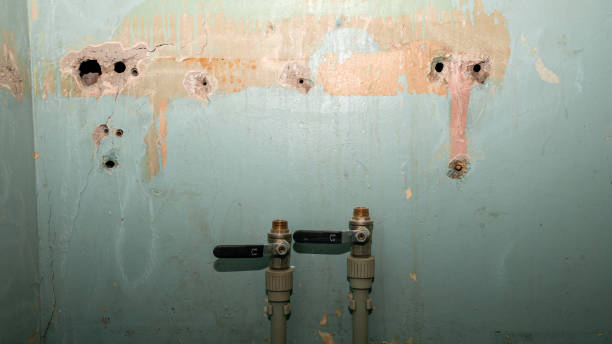 Best Water damage restoration mold remediation  in Imlay City, MI