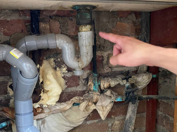 Best Water damage cleanup near me  in Imlay City, MI