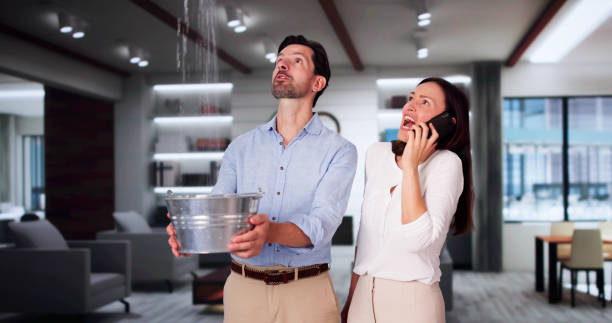 Best Flood restoration services  in Imlay City, MI