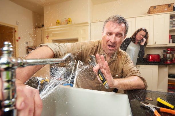 Best Commercial water damage restoration  in Imlay City, MI